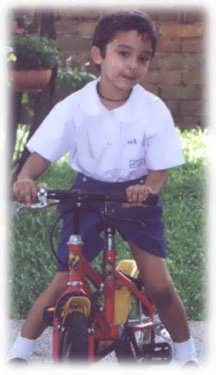 Jivabike.jpg